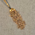 Anisseed caraway Fennel