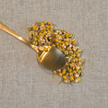 Chamomile blossoms