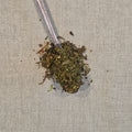 Marrakesh Mint